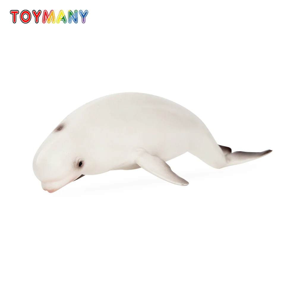 Kids Toys Under $5 - Toymany Simulation Beluga Whale Ocean Animal