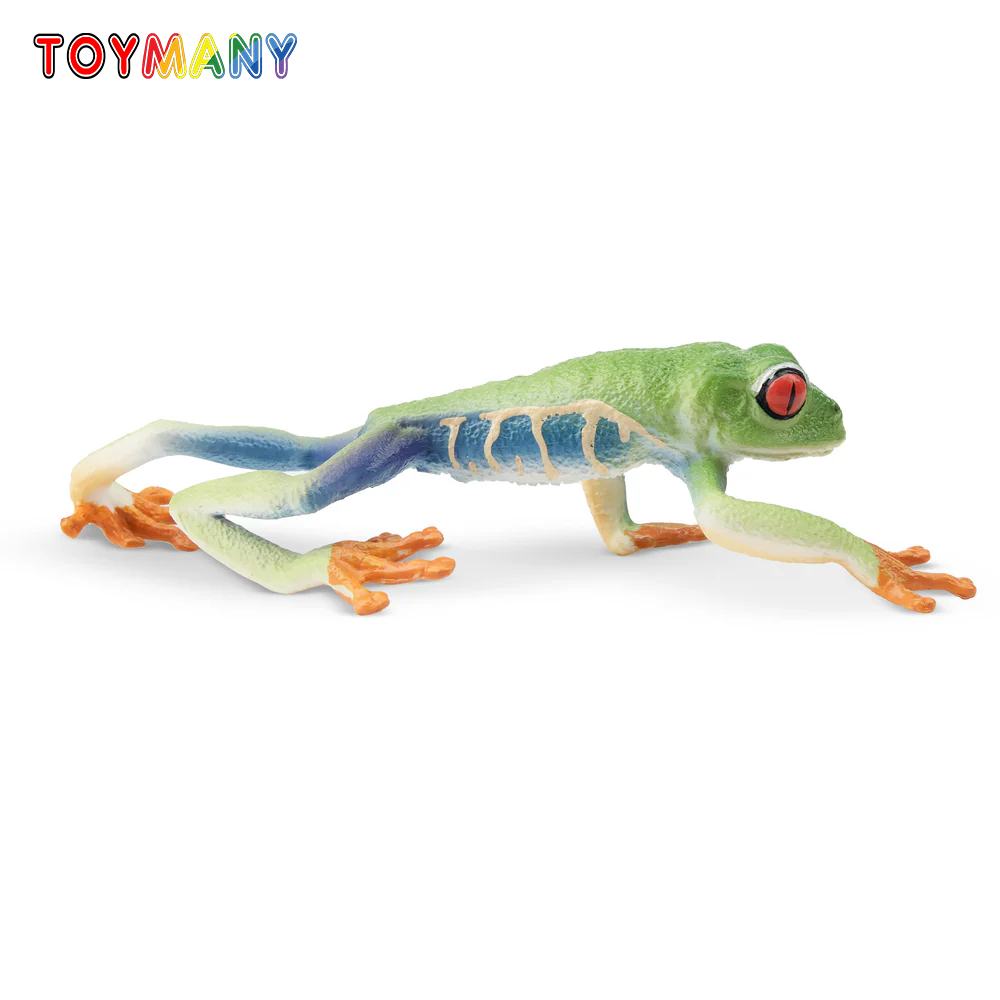 Kids Toys Under $5 - Toymany Simulation Red-eyed Tree Frog Reptile