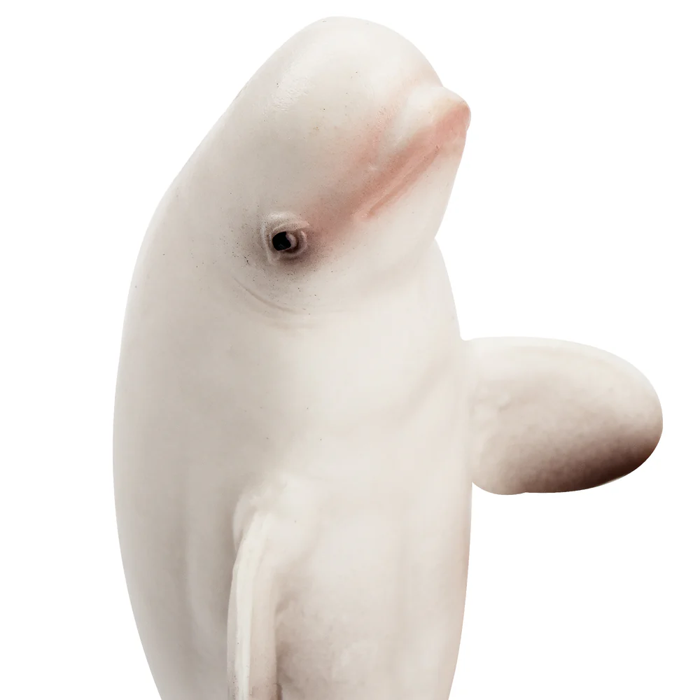 Toymany Simulation Beluga Whal - огляд і ціна Kids Toys Under $5