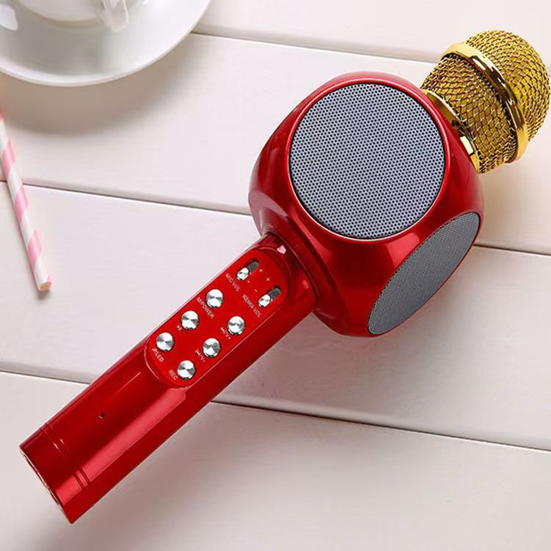 WS1816 Wireless Children Karao - огляд і ціна Kids Microphone Karaoke