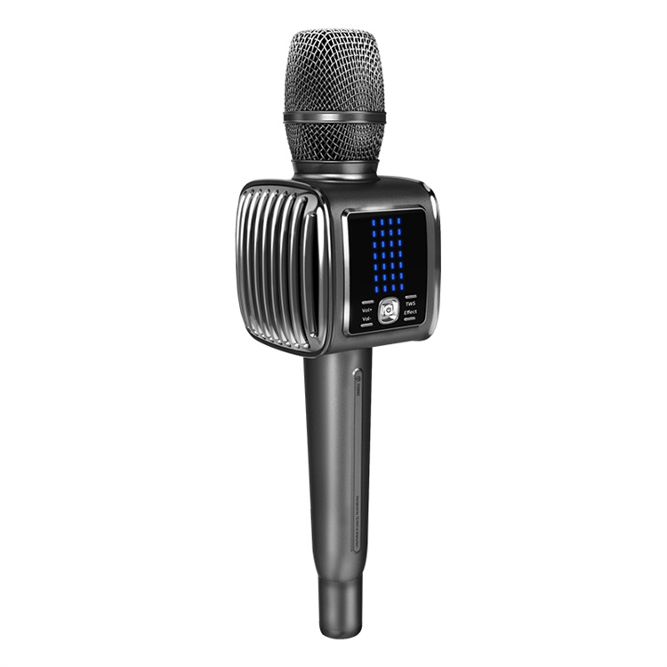 Tosing G6 PRO Sing Karaoke  Wi - огляд і ціна Kids Microphone Karaoke