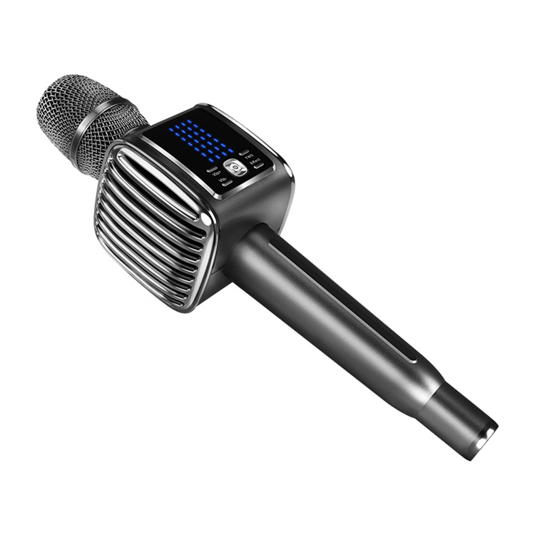 Tosing G6 PRO Sing Karaoke  Wi - огляд і ціна Kids Microphone Karaoke