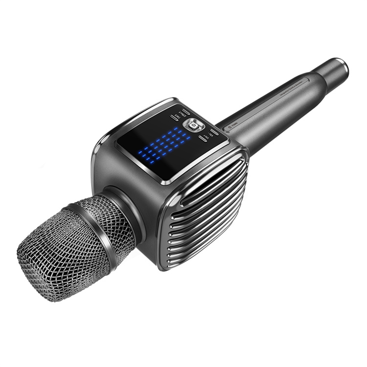 Tosing G6 PRO Sing Karaoke  Wi - огляд і ціна Kids Microphone Karaoke
