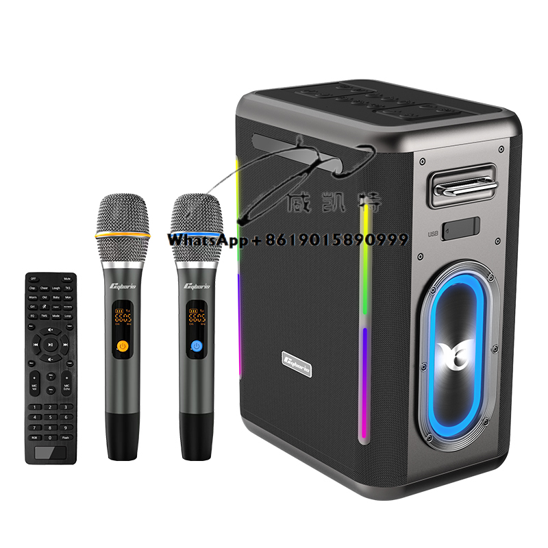 X15 400W Karaoke Machine, Ster - огляд і ціна Kids Microphone Karaoke