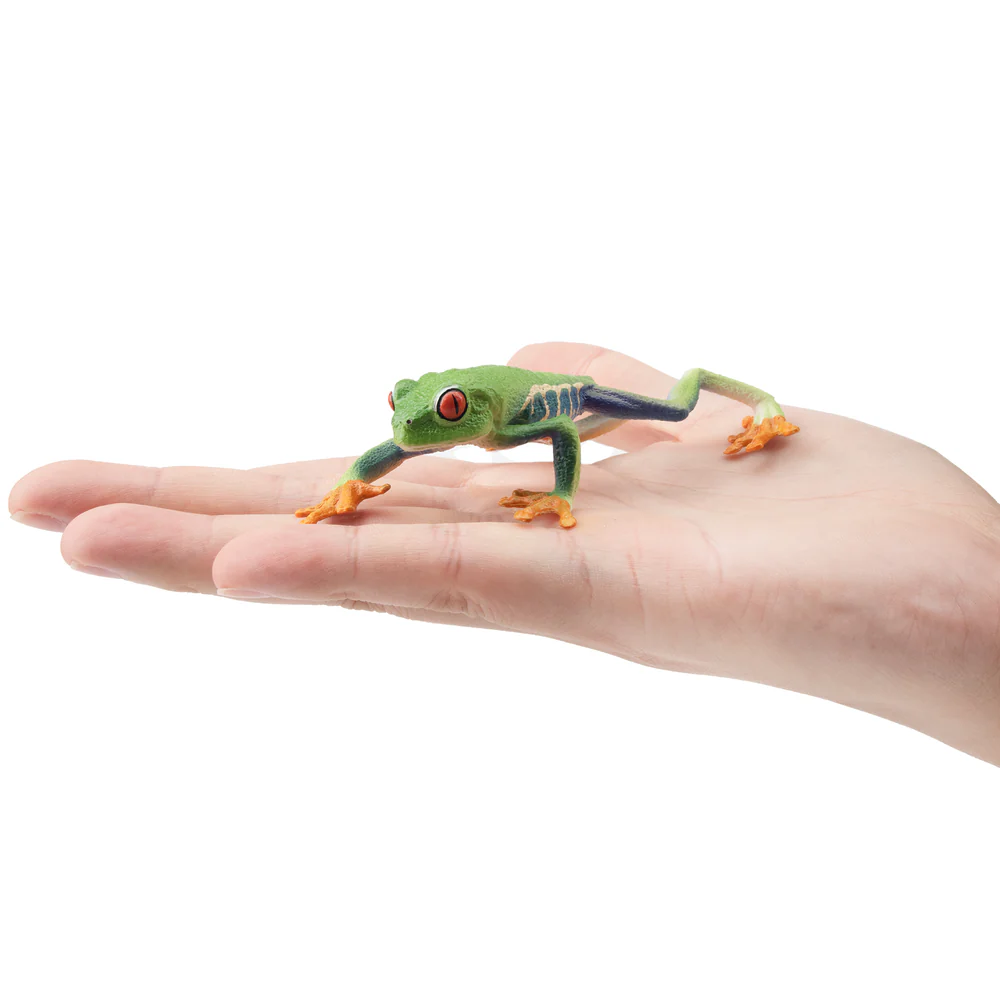 Toymany Simulation Red-eyed Tr - огляд і ціна Kids Toys Under $5