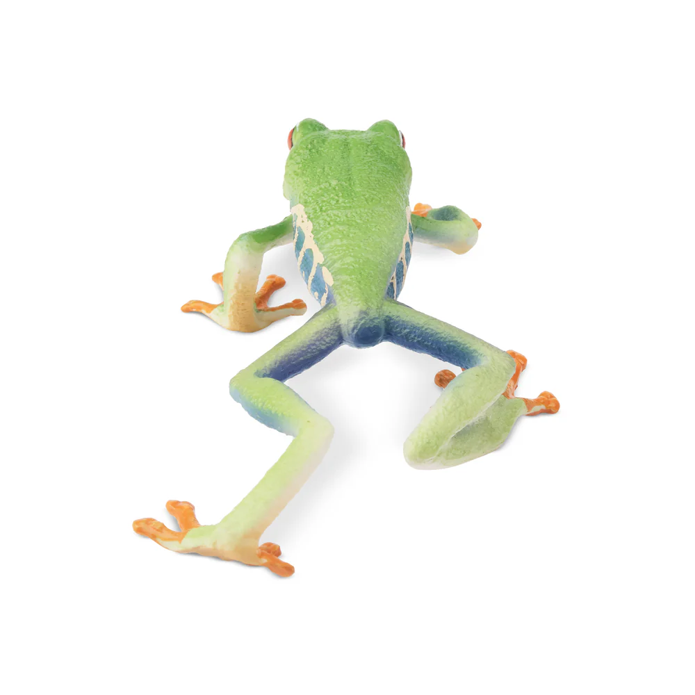 Toymany Simulation Red-eyed Tr - огляд і ціна Kids Toys Under $5