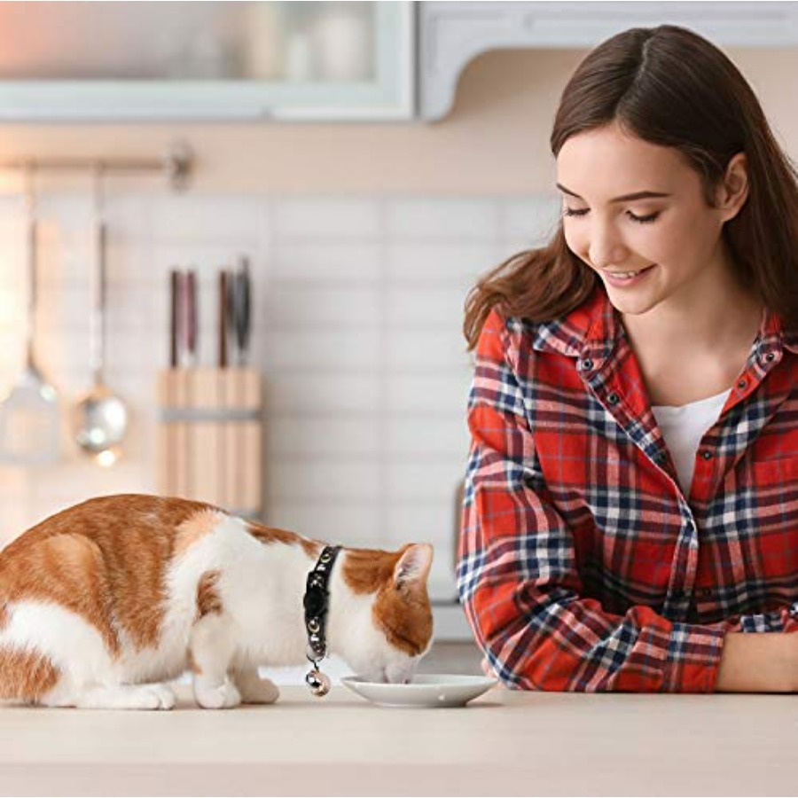 2PCS Breakaway Cat Collars wit - огляд і ціна Glow In Dark Stars
