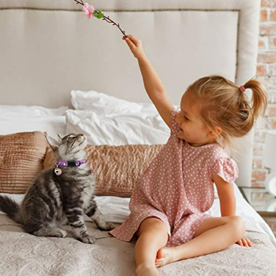 2PCS Breakaway Cat Collars wit - огляд і ціна Glow In Dark Stars