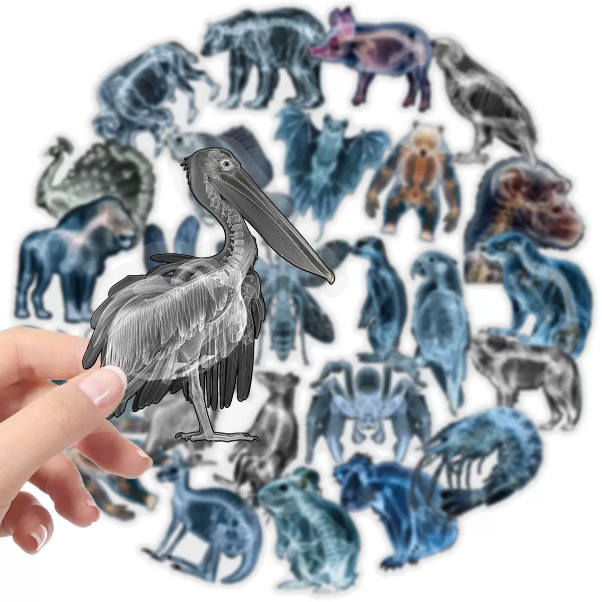 10/56pcs Animal Skeleton Stick - огляд і ціна Kids Xray Toys