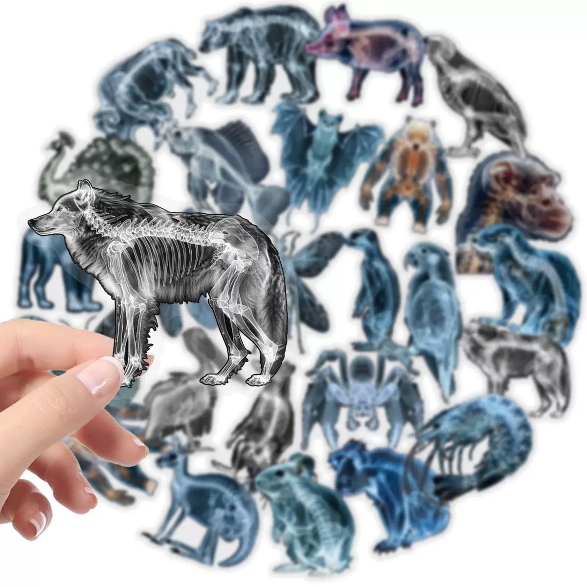 10/56pcs Animal Skeleton Stick - огляд і ціна Kids Xray Toys